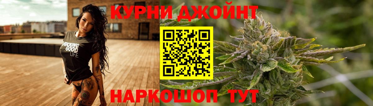 Конопля планчик Изобильный